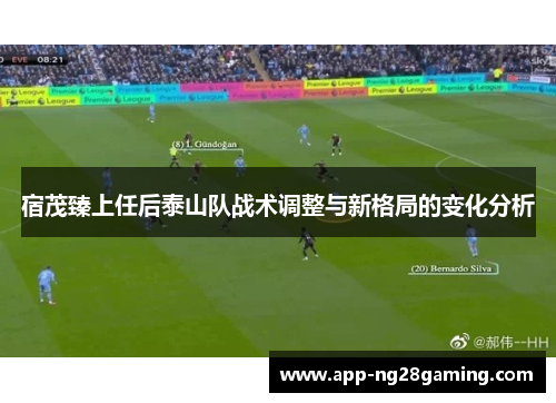 宿茂臻上任后泰山队战术调整与新格局的变化分析