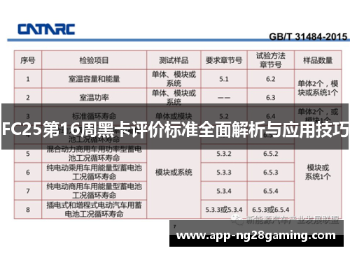 FC25第16周黑卡评价标准全面解析与应用技巧