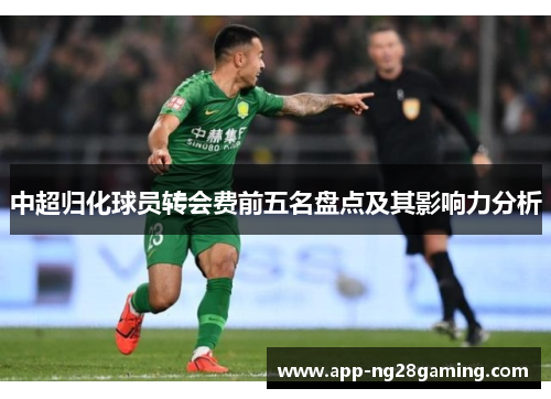 中超归化球员转会费前五名盘点及其影响力分析