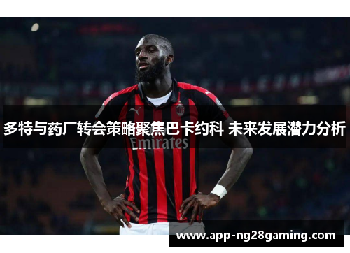 多特与药厂转会策略聚焦巴卡约科 未来发展潜力分析