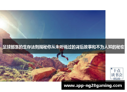 足球部落的生存法则揭秘你从未听说过的背后故事和不为人知的秘密