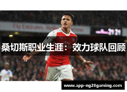 桑切斯职业生涯:效力球队回顾 桑切斯职业生涯:效力球队回顾