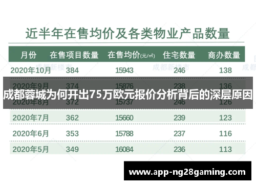 成都蓉城为何开出75万欧元报价分析背后的深层原因