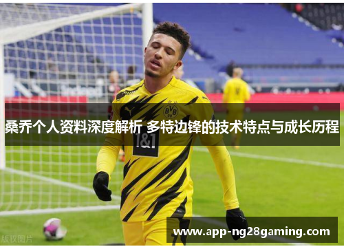 桑乔个人资料深度解析 多特边锋的技术特点与成长历程