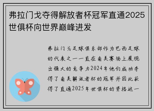 弗拉门戈夺得解放者杯冠军直通2025世俱杯向世界巅峰进发 弗拉门戈夺得解放者杯冠军直通2025世俱杯向世界巅峰进发